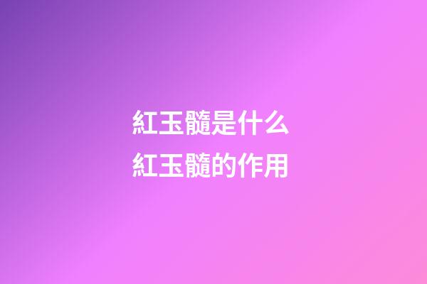 紅玉髓是什么 紅玉髓的作用